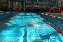 open-alicante-19