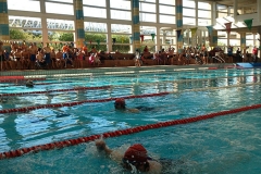 open-alicante-43