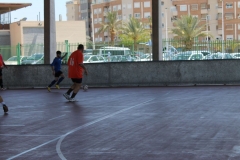 ADAPONDA-TOREVIEJA-038