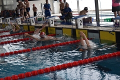 OPEN-FESA-CASTELLON-2015-013
