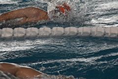 OPEN-FESA-CASTELLON-2015-051