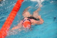 OPEN-FESA-CASTELLON-2015-186