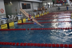 OPEN-FESA-CASTELLON-2015-235