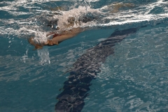 OPEN-FESA-CASTELLON-2015-303