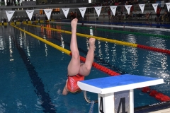 OPEN-FESA-CASTELLON-2015-331