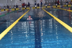 OPEN-FESA-CASTELLON-2015-352
