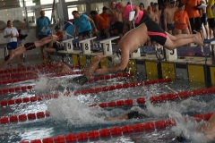 OPEN-FESA-CASTELLON-2015-429