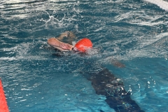 OPEN-FESA-CASTELLON-2015-475