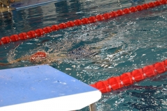 OPEN-FESA-CASTELLON-2015-486