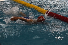 OPEN-FESA-CASTELLON-2015-541