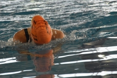OPEN-FESA-CASTELLON-2015-576