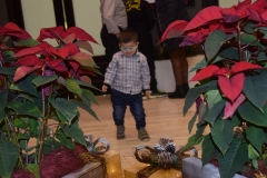 ADAPONDA-COMIDA-NAVIDAD-2016-028