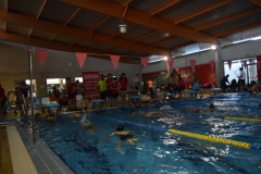 ADAPONDA-OPEN-DE-NADAL-2016-156