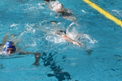 ADAPONDA-CAMPEONATO-DE-ESPAÑA-NATACION-CCAA-2019-004
