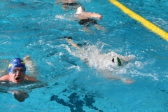 ADAPONDA-CAMPEONATO-DE-ESPAÑA-NATACION-CCAA-2019-005