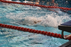 ADAPONDA-CAMPEONATO-DE-ESPAÑA-NATACION-CCAA-2019-035