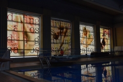 ADAPONDA-CAMPEONATO-DE-ESPAÑA-NATACION-CCAA-2019-062