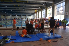 ADAPONDA-CAMPEONATO-DE-ESPAÑA-NATACION-CCAA-2019-071