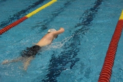 ADAPONDA-CAMPEONATO-DE-ESPAÑA-NATACION-CCAA-2019-115