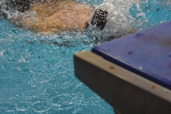 ADAPONDA-CAMPEONATO-DE-ESPAÑA-NATACION-CCAA-2019-122