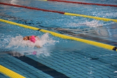 ADAPONDA-CAMPEONATO-DE-ESPAÑA-NATACION-CCAA-2019-189