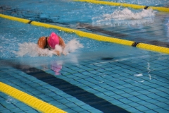 ADAPONDA-CAMPEONATO-DE-ESPAÑA-NATACION-CCAA-2019-190