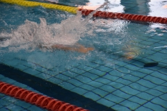 ADAPONDA-CAMPEONATO-DE-ESPAÑA-NATACION-CCAA-2019-193