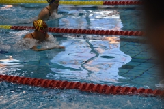 ADAPONDA-CAMPEONATO-DE-ESPAÑA-NATACION-CCAA-2019-196