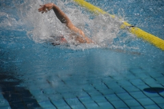 ADAPONDA-CAMPEONATO-DE-ESPAÑA-NATACION-CCAA-2019-200