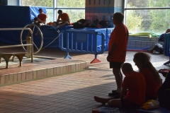 ADAPONDA-CAMPEONATO-DE-ESPAÑA-NATACION-CCAA-2019-238