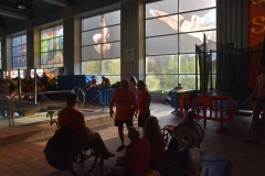 ADAPONDA-CAMPEONATO-DE-ESPAÑA-NATACION-CCAA-2019-243