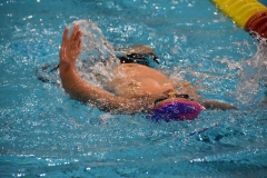 ADAPONDA-CAMPEONATO-DE-ESPAÑA-NATACION-CCAA-2019-312