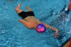 ADAPONDA-CAMPEONATO-DE-ESPAÑA-NATACION-CCAA-2019-316