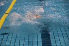 ADAPONDA-CAMPEONATO-DE-ESPAÑA-NATACION-CCAA-2019-318