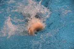 ADAPONDA-CAMPEONATO-DE-ESPAÑA-NATACION-CCAA-2019-323