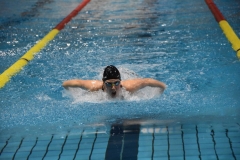 ADAPONDA-CAMPEONATO-DE-ESPAÑA-NATACION-CCAA-2019-336