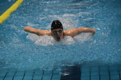 ADAPONDA-CAMPEONATO-DE-ESPAÑA-NATACION-CCAA-2019-337