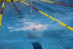 ADAPONDA-CAMPEONATO-DE-ESPAÑA-NATACION-CCAA-2019-371