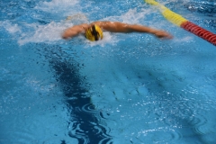 ADAPONDA-CAMPEONATO-DE-ESPAÑA-NATACION-CCAA-2019-373