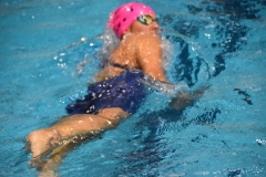ADAPONDA-CAMPEONATO-DE-ESPAÑA-NATACION-CCAA-2019-386