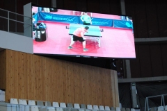 DSC_0608