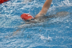 CAMPEONATO-DE-ESPANA-NATACION-FDDI-2022-931