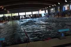 ADAPONDA-CAMPEONATO-ESPANA-NATACION-ADAPTADA-2022-OVIEDO-019