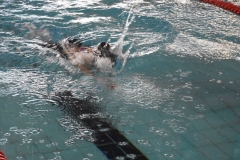 ADAPONDA-CAMPEONATO-ESPANA-NATACION-ADAPTADA-2022-OVIEDO-065