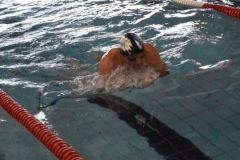ADAPONDA-CAMPEONATO-ESPANA-NATACION-ADAPTADA-2022-OVIEDO-121
