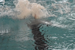 ADAPONDA-CAMPEONATO-ESPANA-NATACION-ADAPTADA-2022-OVIEDO-152