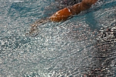 ADAPONDA-CAMPEONATO-ESPANA-NATACION-ADAPTADA-2022-OVIEDO-184