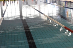 ADAPONDA-CAMPEONATO-ESPANA-NATACION-ADAPTADA-2022-OVIEDO-203