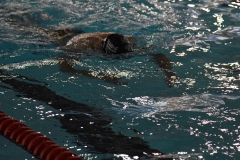 ADAPONDA-CAMPEONATO-ESPANA-NATACION-ADAPTADA-2022-OVIEDO-316