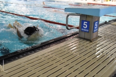 ADAPONDA-CAMPEONATO-ESPANA-NATACION-ADAPTADA-2022-OVIEDO-375